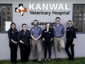 Our Veterinary Team 